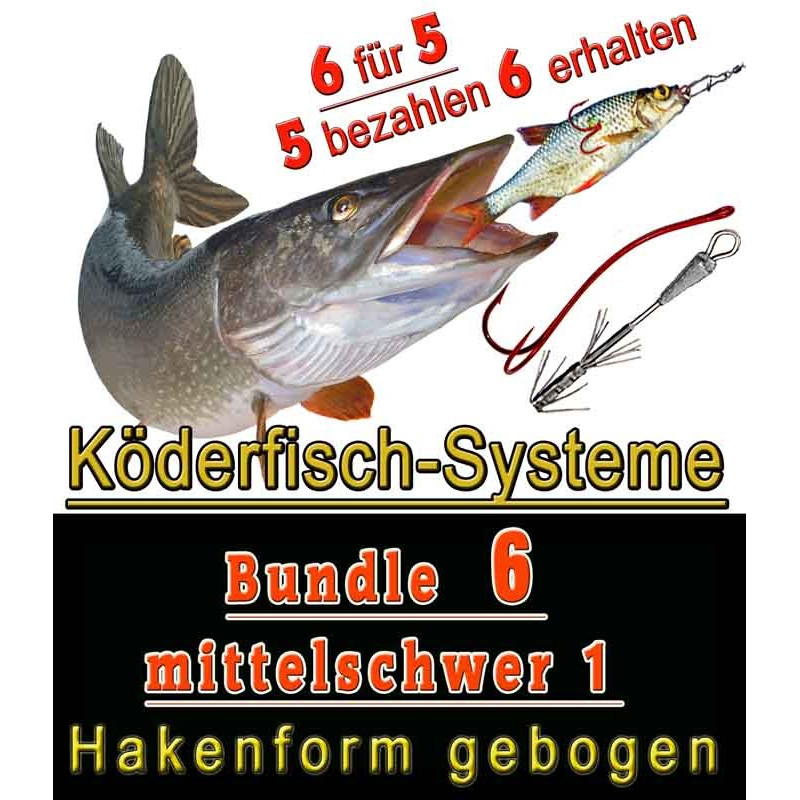 Systeme BUNDLE 6 mittelschwer 1
