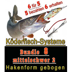 Systeme BUNDLE 8 mittelschwer 2
