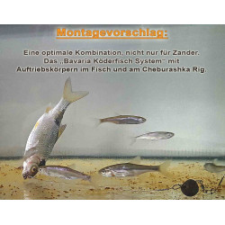 Cheburashka mit Köderfisch und Auftriebskörper