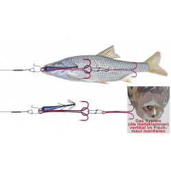 Starterset Nr.1 Bavaria Köderfisch System als Weihnachtsgeschenk