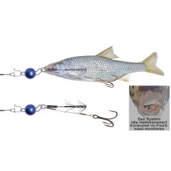 Starterset Nr.1 Bavaria Köderfisch System als Weihnachtsgeschenk