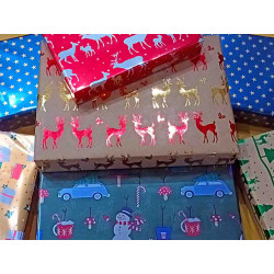 Starterset Nr.1 Bavaria Köderfisch System als Weihnachtsgeschenk