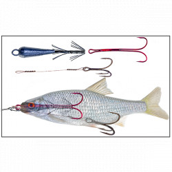 Im gläsernen Fisch könnt Ihr sehr gut sehen wie das System in Inneren des Köfis angeordnet ist.