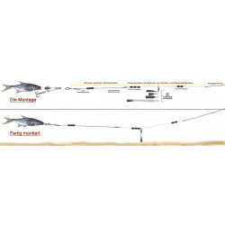 Starterset 1 Micro   Bavaria Köderfisch System als Weihnachtsgeschenk