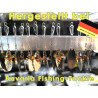 Bavaria Turbo-Spinner "DELUXE"  Gold & Silver Nr.: 3552