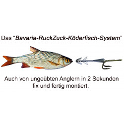 RuckZuck-Köderfisch-System STANDARD Doppelhaken  Set1
