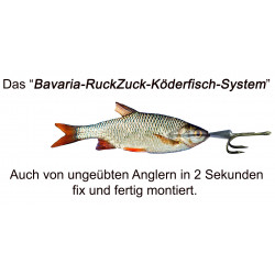 RuckZuck-Köderfisch-System STANDARD Doppelhaken  Set1
