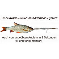 copy of RuckZuck-Köderfisch-System STANDARD  Set1