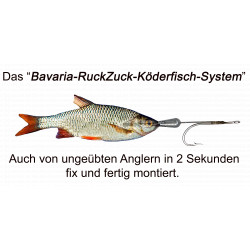 copy of RuckZuck-Köderfisch-System STANDARD  Set1