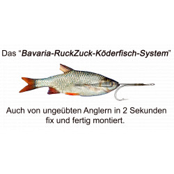 copy of RuckZuck-Köderfisch-System STANDARD  Set1