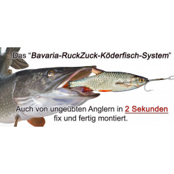 copy of RuckZuck-Köderfisch-System STANDARD  Set1