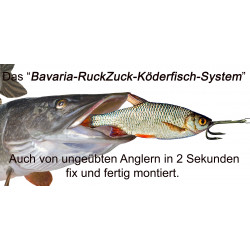 copy of RuckZuck-Köderfisch-System STANDARD  Set1
