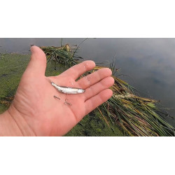 RuckZuck-Köderfisch-System "MICRO/MINI"  DOPPELHAKEN.......'Set.1D/MM'