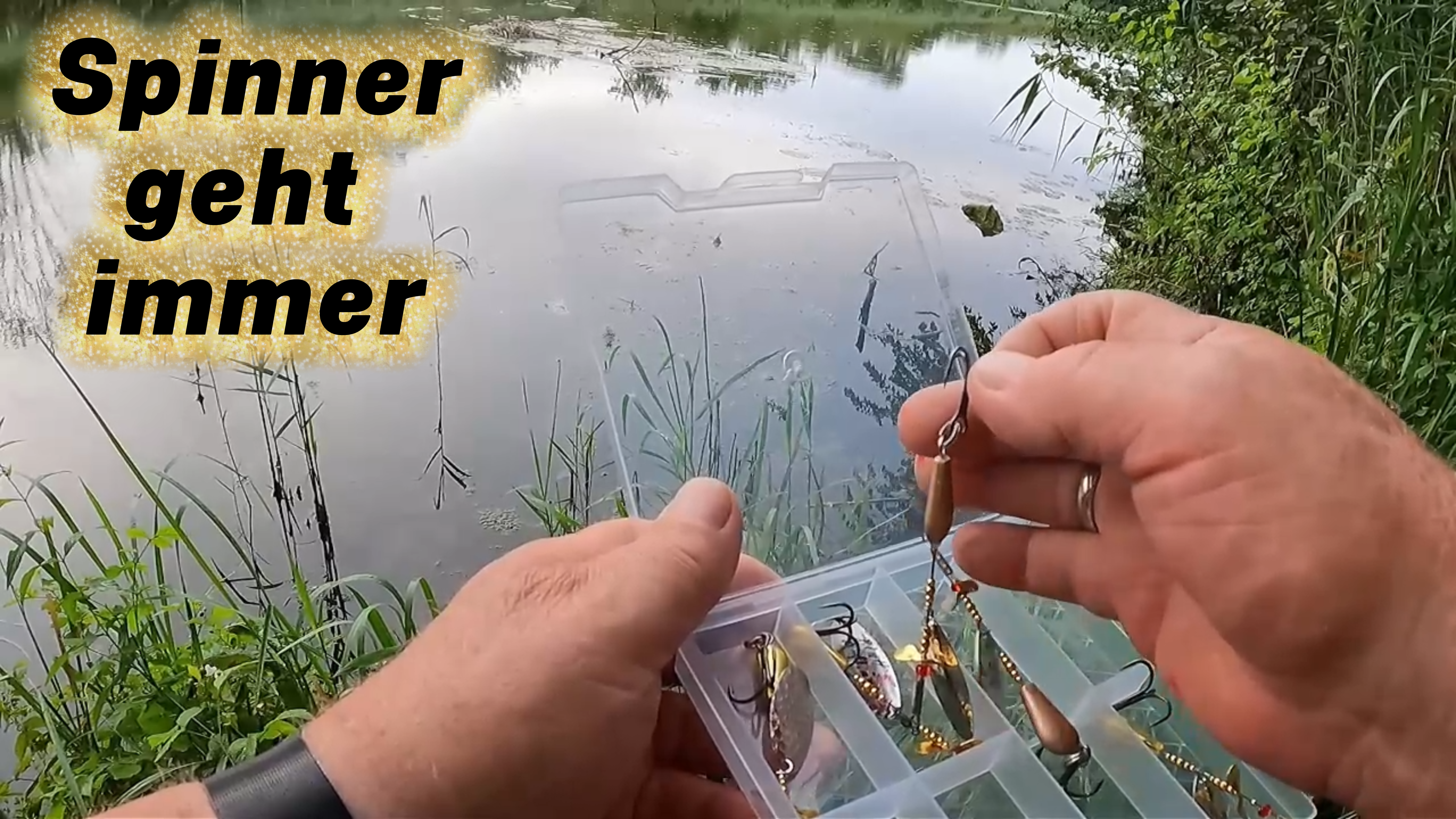 Spinner geht immer